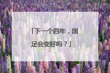 下一个四年，国足会变好吗？