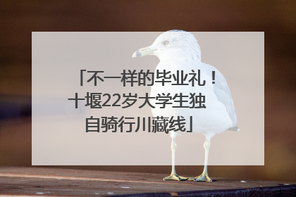 不一样的毕业礼！十堰22岁大学生独自骑行川藏线