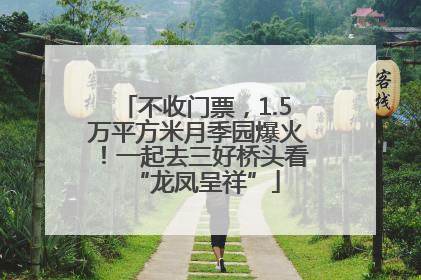 不收门票，1.5万平方米月季园爆火！一起去三好桥头看“龙凤呈祥”