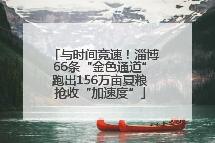 与时间竞速！淄博66条“金色通道”跑出156万亩夏粮抢收“加速度”