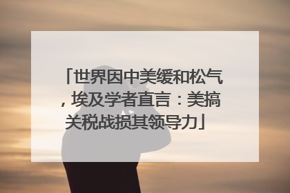 世界因中美缓和松气，埃及学者直言：美搞关税战损其领导力
