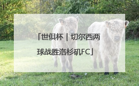 世俱杯｜切尔西两球战胜洛杉矶FC