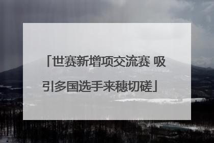 世赛新增项交流赛 吸引多国选手来穗切磋