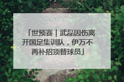 世预赛｜武磊因伤离开国足集训队，伊万不再补招顶替球员