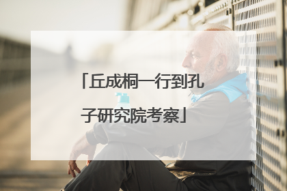 丘成桐一行到孔子研究院考察