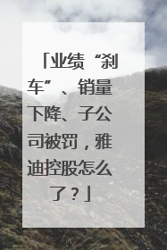 业绩“刹车”、销量下降、子公司被罚，雅迪控股怎么了？