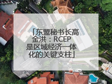 东盟秘书长高金洪：RCEP是区域经济一体化的关键支柱