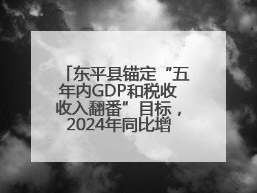 东平县锚定“五年内GDP和税收收入翻番”目标，2024年同比增长5.8%