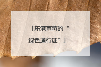 东港草莓的“绿色通行证”