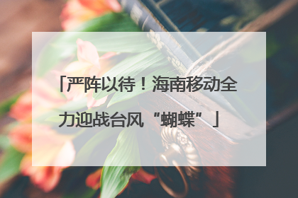 严阵以待！海南移动全力迎战台风“蝴蝶”
