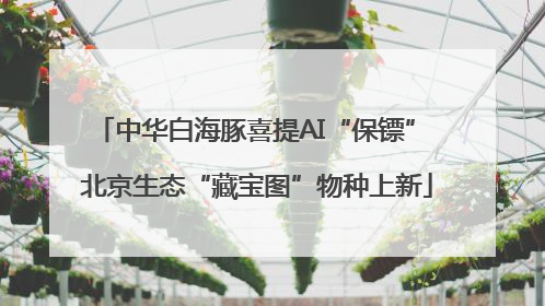 中华白海豚喜提AI“保镖” 北京生态“藏宝图”物种上新