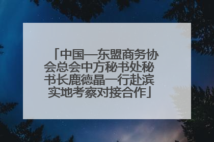 中国—东盟商务协会总会中方秘书处秘书长鹿德晶一行赴滨实地考察对接合作
