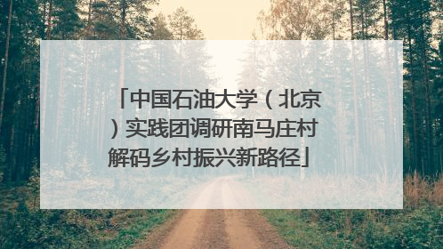 中国石油大学（北京）实践团调研南马庄村解码乡村振兴新路径