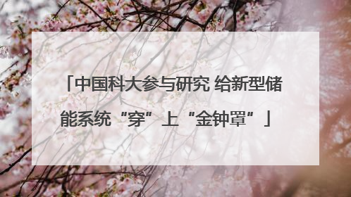 中国科大参与研究 给新型储能系统“穿”上“金钟罩”
