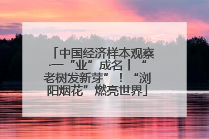 中国经济样本观察·一“业”成名丨“老树发新芽”！“浏阳烟花”燃亮世界