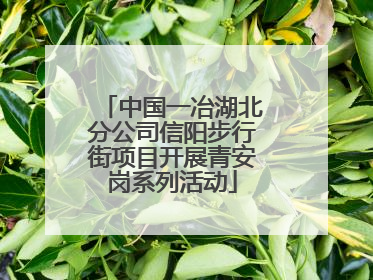 中国一冶湖北分公司信阳步行街项目开展青安岗系列活动