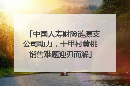 中国人寿财险涟源支公司助力，十甲村黄桃销售难题迎刃而解
