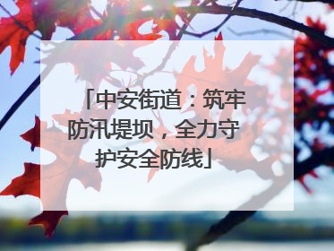中安街道：筑牢防汛堤坝，全力守护安全防线