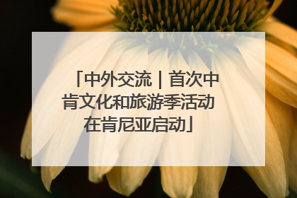 中外交流｜首次中肯文化和旅游季活动在肯尼亚启动