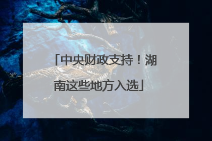 中央财政支持！湖南这些地方入选