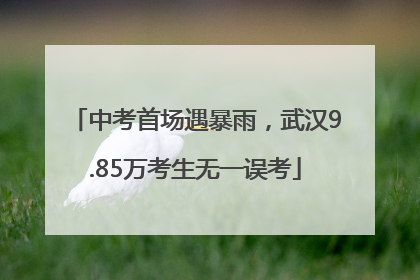 中考首场遇暴雨，武汉9.85万考生无一误考
