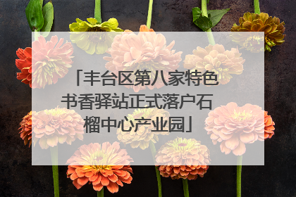 丰台区第八家特色书香驿站正式落户石榴中心产业园