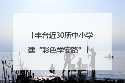 丰台近30所中小学建“彩色学安路”