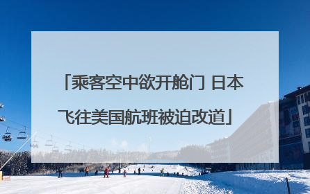 乘客空中欲开舱门 日本飞往美国航班被迫改道