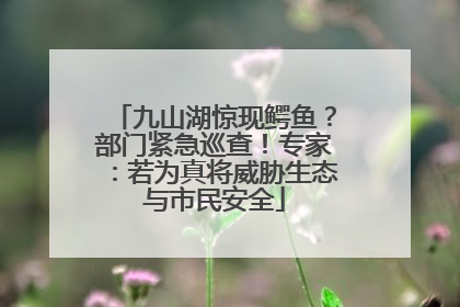 九山湖惊现鳄鱼？部门紧急巡查！专家：若为真将威胁生态与市民安全