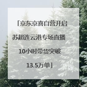 京东京喜自营开启苏超连云港专场直播 10小时带货突破13.5万单