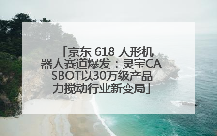 京东 618 人形机器人赛道爆发：灵宝CASBOT以30万级产品力搅动行业新变局