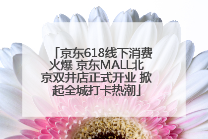 京东618线下消费火爆 京东MALL北京双井店正式开业 掀起全城打卡热潮