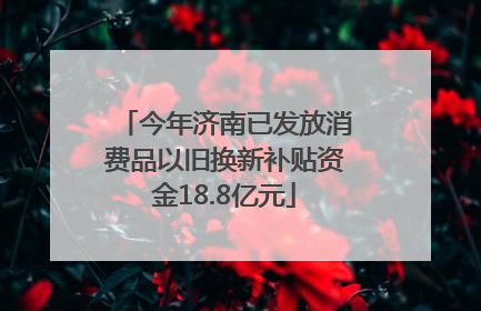 今年济南已发放消费品以旧换新补贴资金18.8亿元