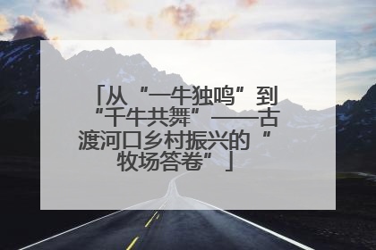 从“一牛独鸣”到“千牛共舞”——古渡河口乡村振兴的“牧场答卷”