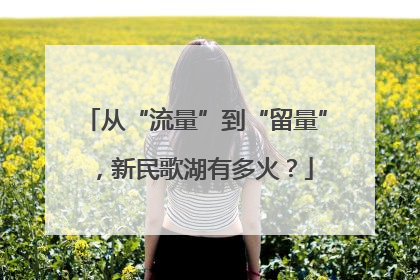 从“流量”到“留量”，新民歌湖有多火？