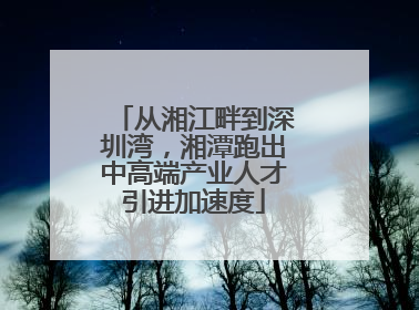 从湘江畔到深圳湾，湘潭跑出中高端产业人才引进加速度