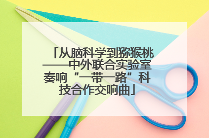 从脑科学到猕猴桃——中外联合实验室奏响“一带一路”科技合作交响曲