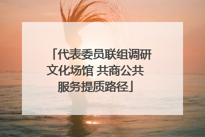 代表委员联组调研文化场馆 共商公共服务提质路径