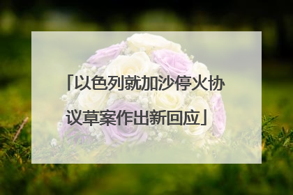 以色列就加沙停火协议草案作出新回应