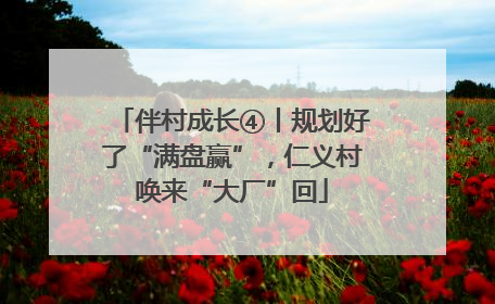 伴村成长④丨规划好了“满盘赢”，仁义村唤来“大厂”回