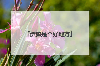 伊旗是个好地方