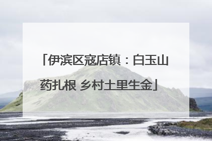 伊滨区寇店镇：白玉山药扎根 乡村土里生金