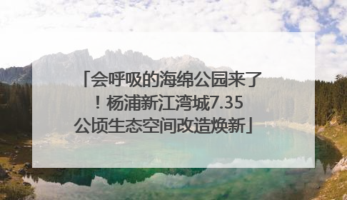 会呼吸的海绵公园来了！杨浦新江湾城7.35公顷生态空间改造焕新