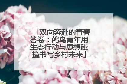 双向奔赴的青春答卷：鸬鸟青年用生态行动与思想碰撞书写乡村未来