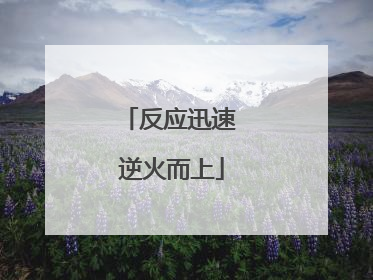 反应迅速 逆火而上