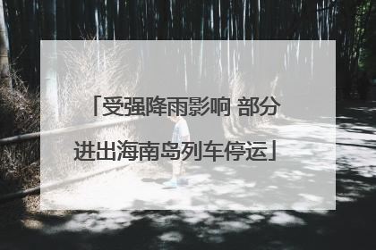 受强降雨影响 部分进出海南岛列车停运