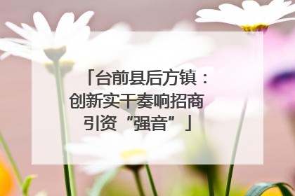 台前县后方镇：创新实干奏响招商引资“强音”