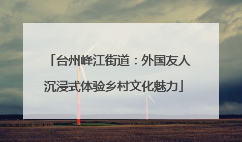 台州峰江街道：外国友人沉浸式体验乡村文化魅力