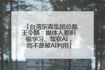 台湾东森集团总裁王令麟：媒体人要积极学习、驾驭AI，而不是被AI利用