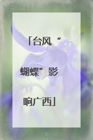 台风“蝴蝶”影响广西